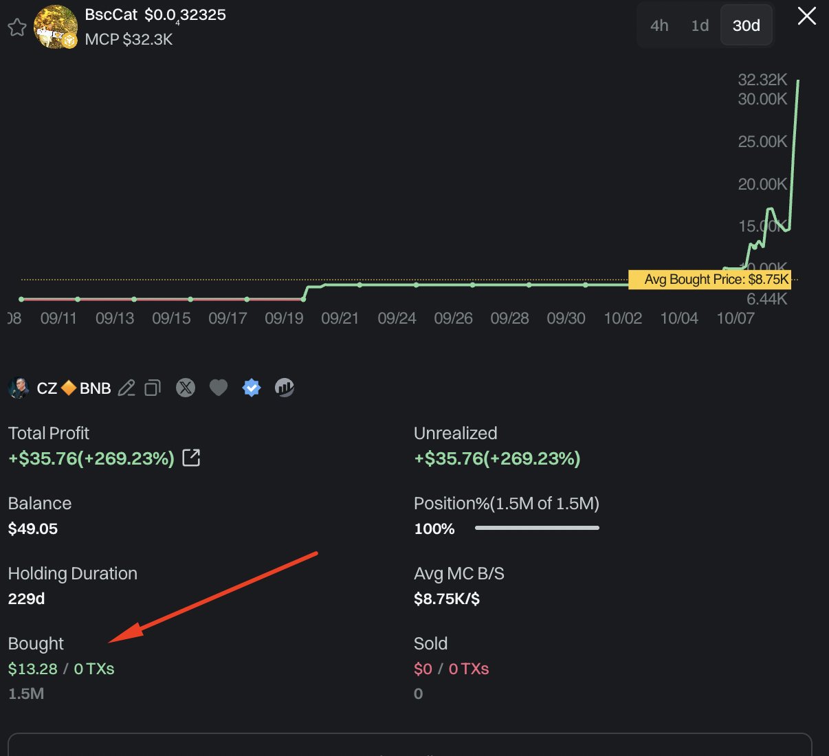 Screenshot of a BscCat wallet position showing profit and loss