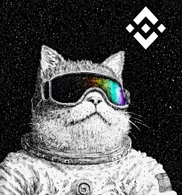 Pencil sketch of a cat astronaut with a Binance logo
